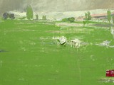 Light Green Field Haunstetten, 2023, Acryl auf Leinwand, 100 x 100 cm